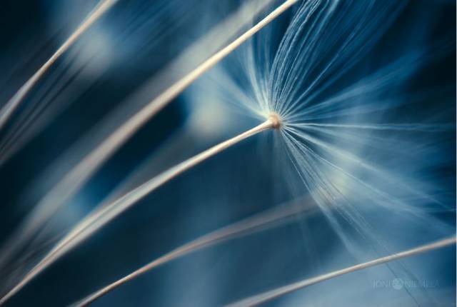 如何用节奏去构图？很简单，但这个错误不要犯！插图10