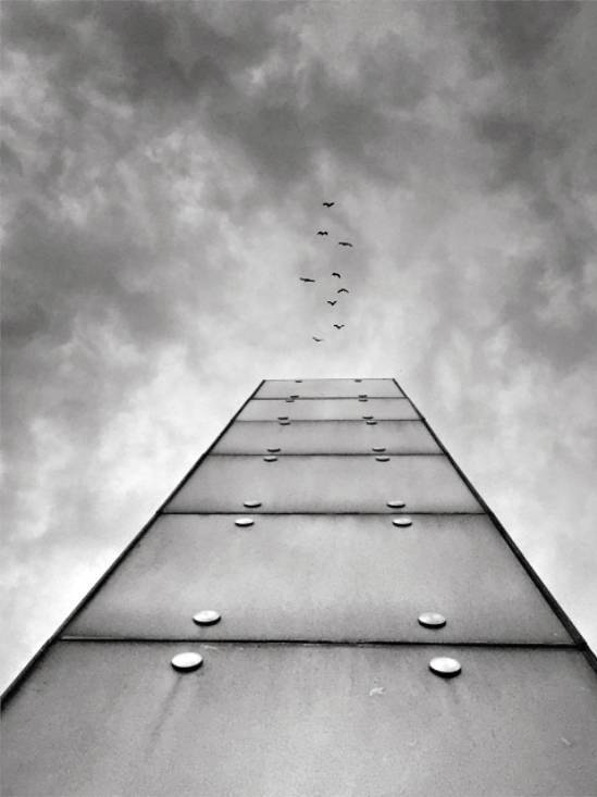 如何用节奏去构图？很简单，但这个错误不要犯！插图6