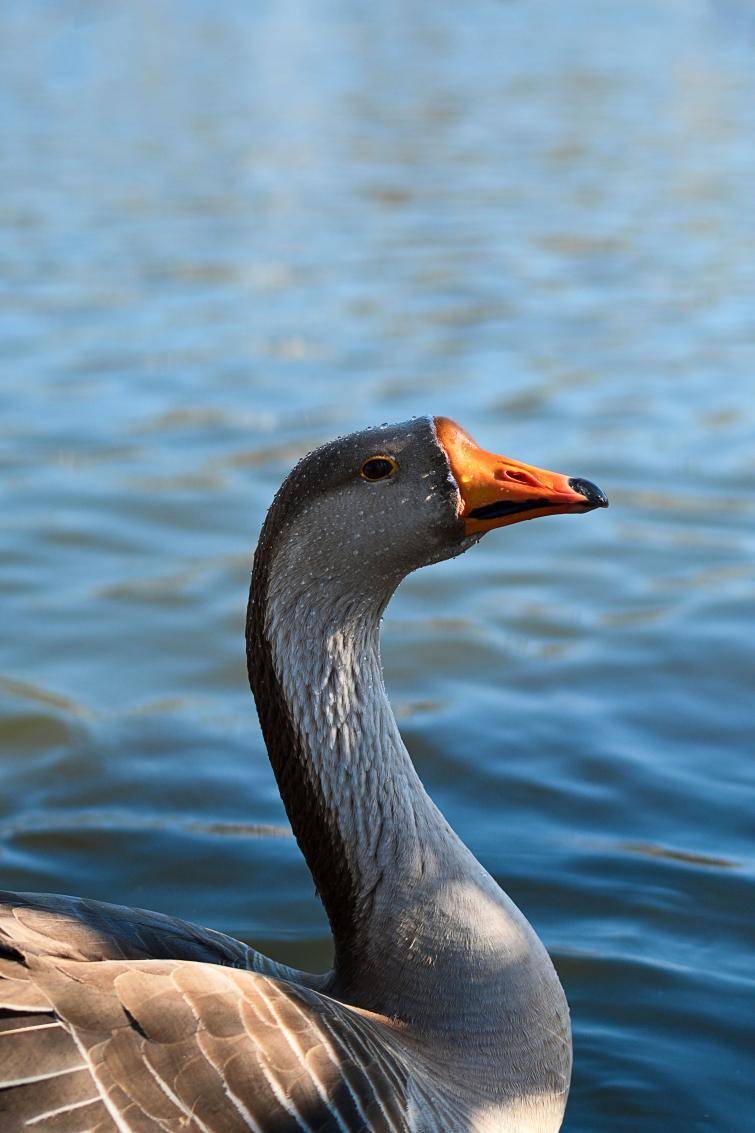 氛围感大片直出的秘密——尼康云创插图10