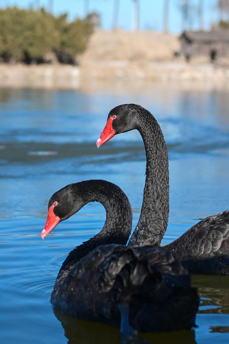 氛围感大片直出的秘密——尼康云创插图9