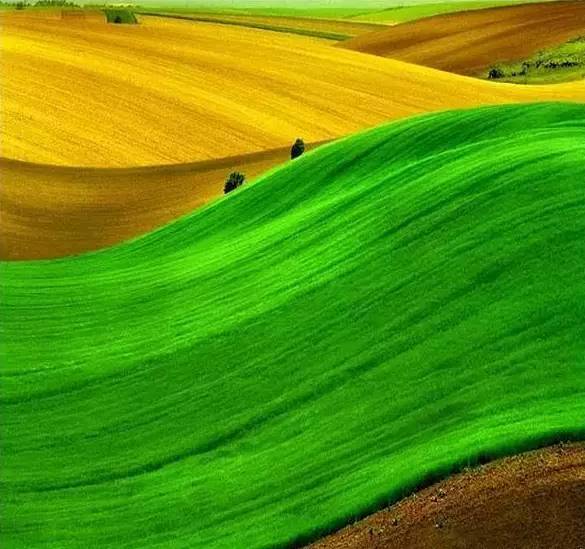 熟练运用这个手法，还怕不出大片!插图21