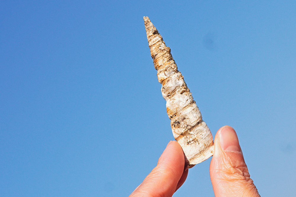 学会这4招，让你把旅行照拍出故事感插图9