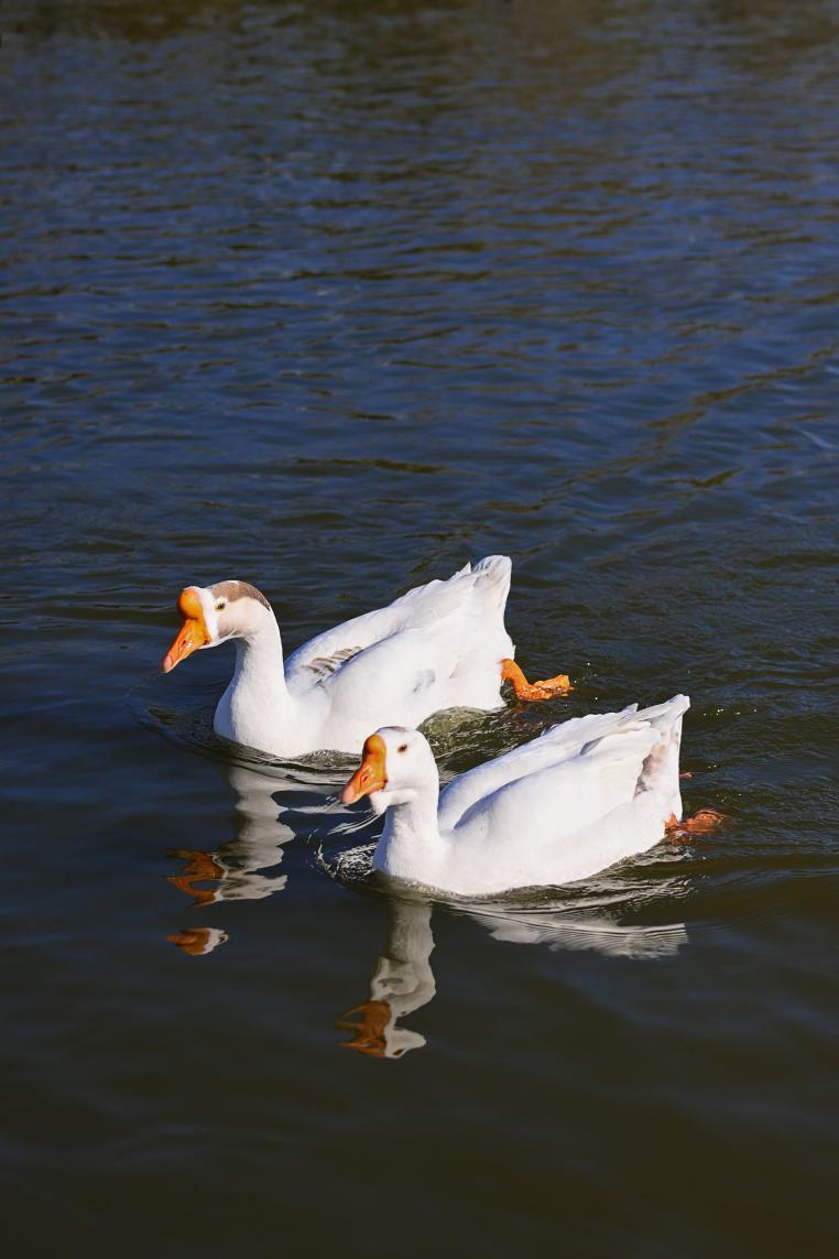 氛围感大片直出的秘密——尼康云创插图8