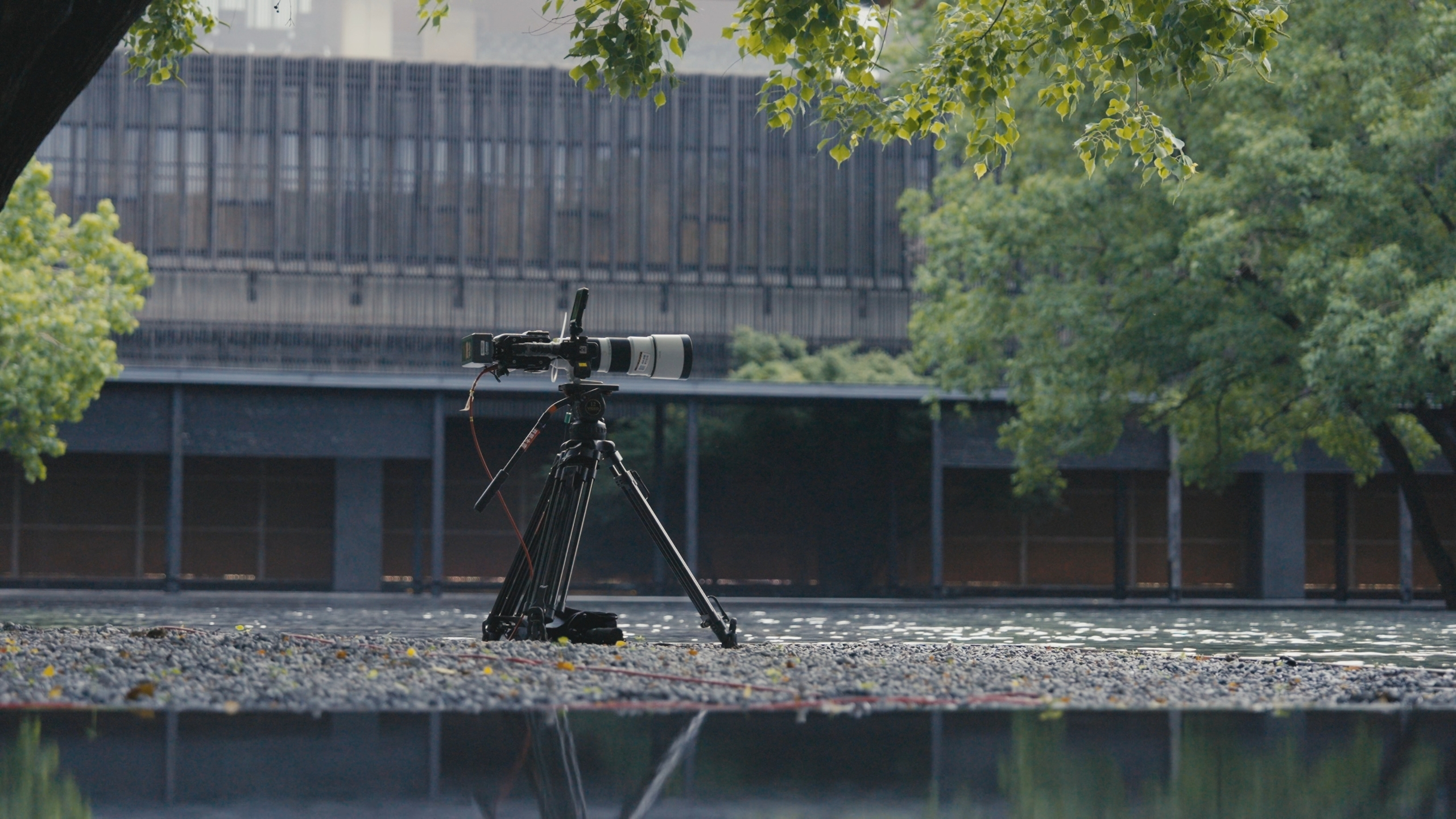 实景直播秀新突破：11台FX3和FX6摄影机联合打造电影感时装直播秀插图