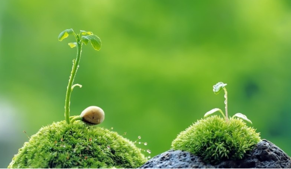 摄影技巧：“摄影眼”的培养插图3