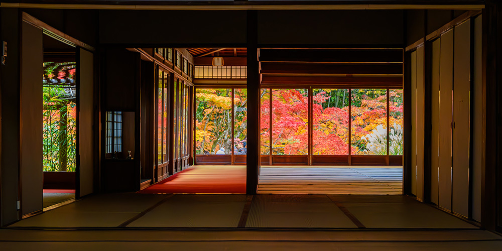 探寻京都红叶圣地，做一场光怪陆离的梦插图8