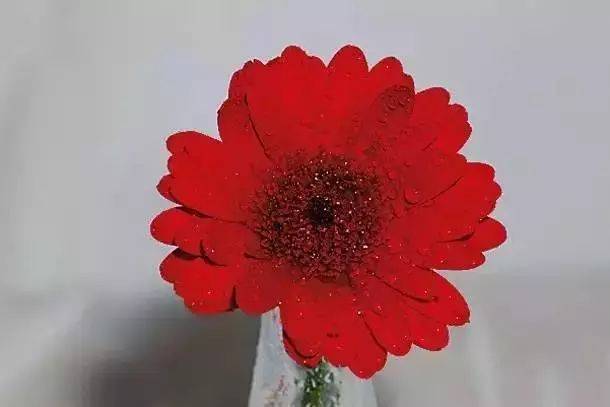 这10个构图错误，你犯过几个！插图2