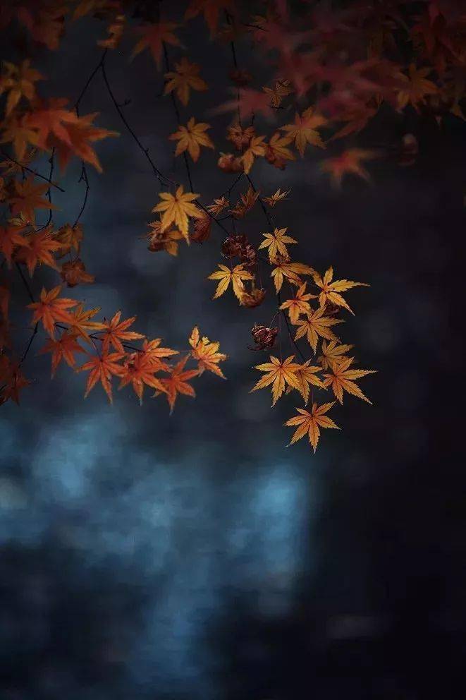 竖构图，视觉冲击力竟然可以这么大！插图14