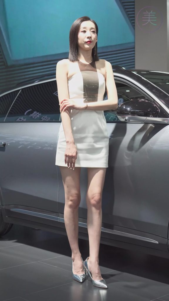 NO.0190 2021 广州车展 Racing Model leapmotor车模01[1V/304MB]插图3