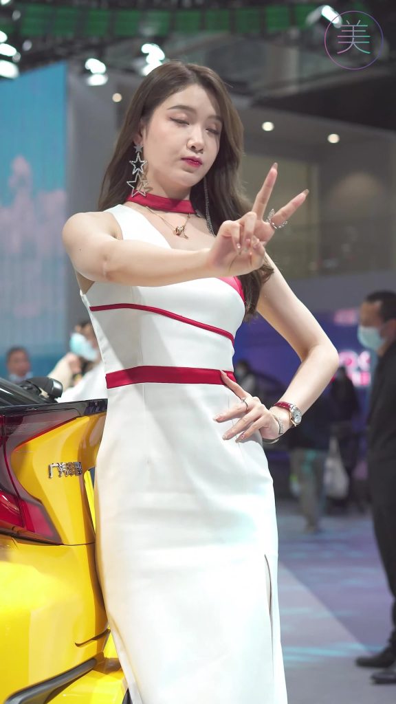 NO.0207 2021 广州车展 Racing Model TOYOTA车模03[1V/416MB]插图3