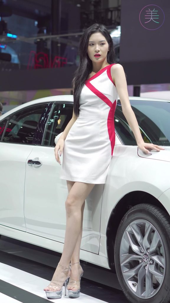 NO.0208 2021 广州车展 Racing Model TOYOTA车模04[1V/306MB]插图1