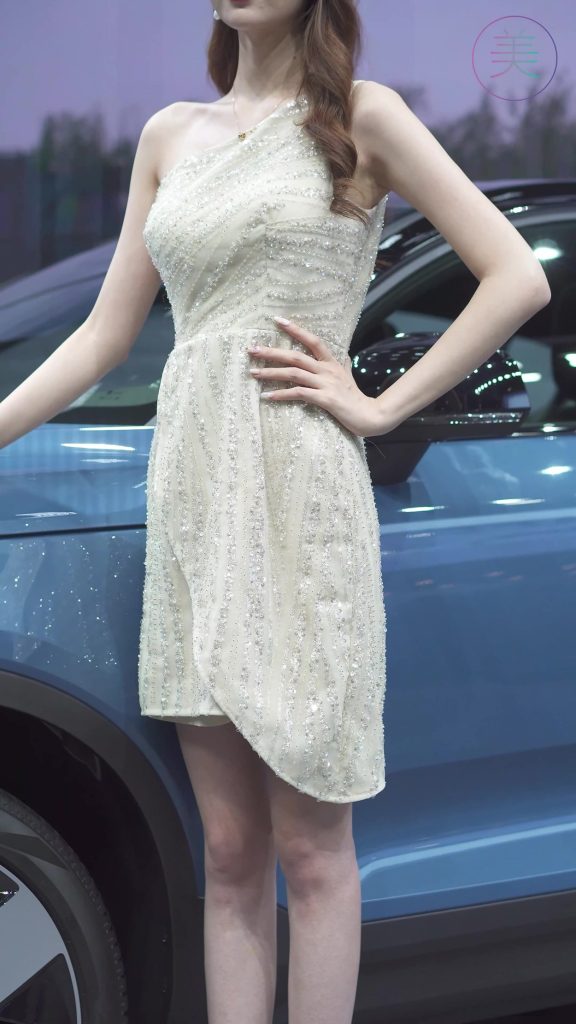 NO.0209 2021 广州车展 Racing Model VOLVO车模01[1V/505MB]-无料摄影圈