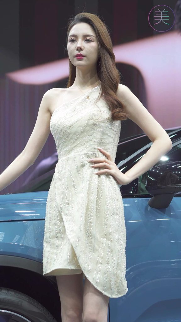 NO.0209 2021 广州车展 Racing Model VOLVO车模01[1V/505MB]插图2