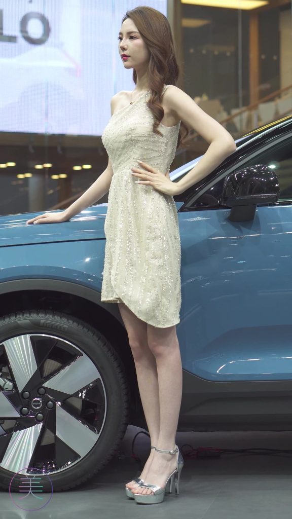 NO.0209 2021 广州车展 Racing Model VOLVO车模01[1V/505MB]插图3