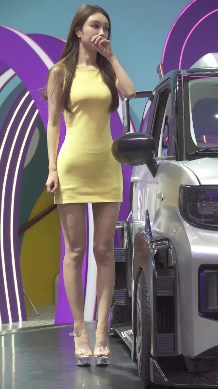 NO.0236 2021 广州车展 Racing Model 奇瑞车模02[1V/561MB]-无料摄影圈