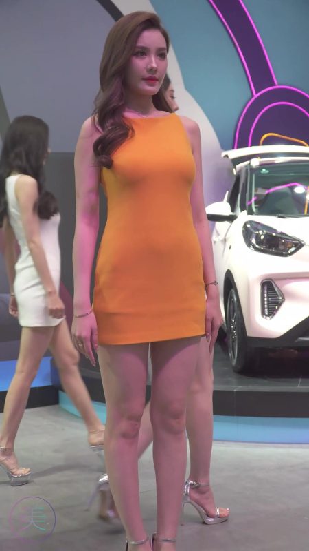 NO.0243 2021 广州车展 Racing Model 奇瑞车模10[1V/247MB]-无料摄影圈