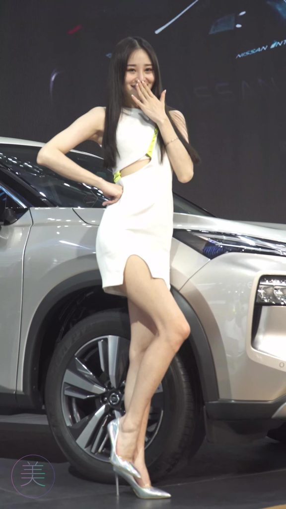 NO.0290 2021 深圳车展 Racing Model NISSAN车模03[1V/424MB]插图1