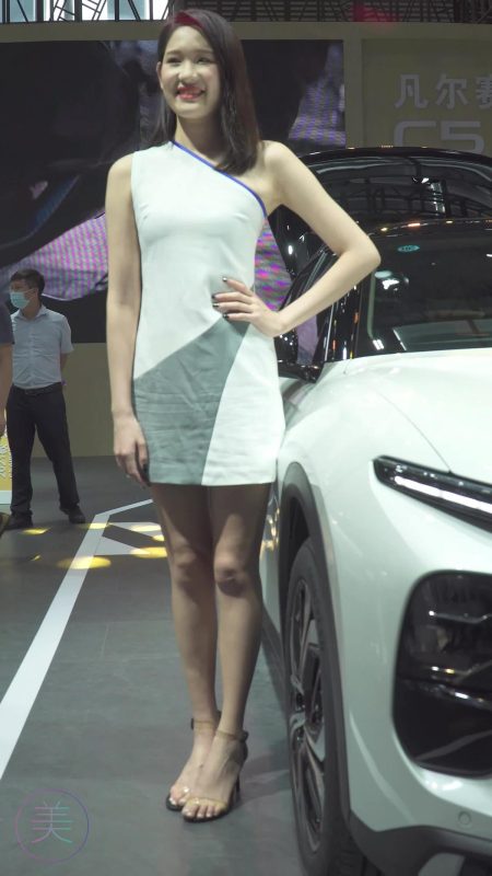 NO.0294 2021 深圳车展 Racing Model TOYOTA车模01[1V/267MB]-无料摄影圈