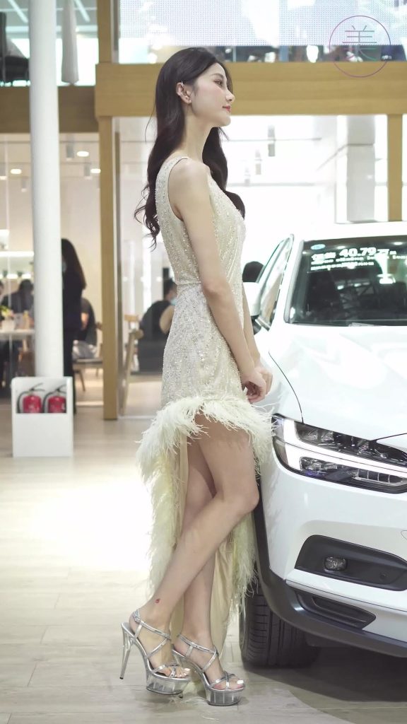 NO.0296 2021 深圳车展 Racing Model VOLVO车模02[1V/246MB]插图3