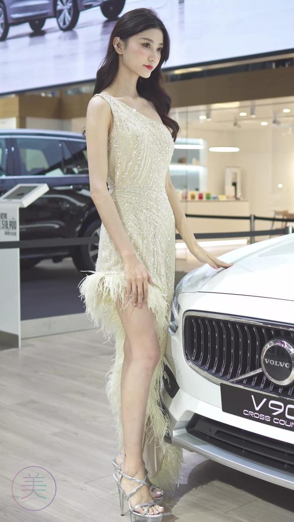 NO.0296 2021 深圳车展 Racing Model VOLVO车模02[1V/246MB]插图1