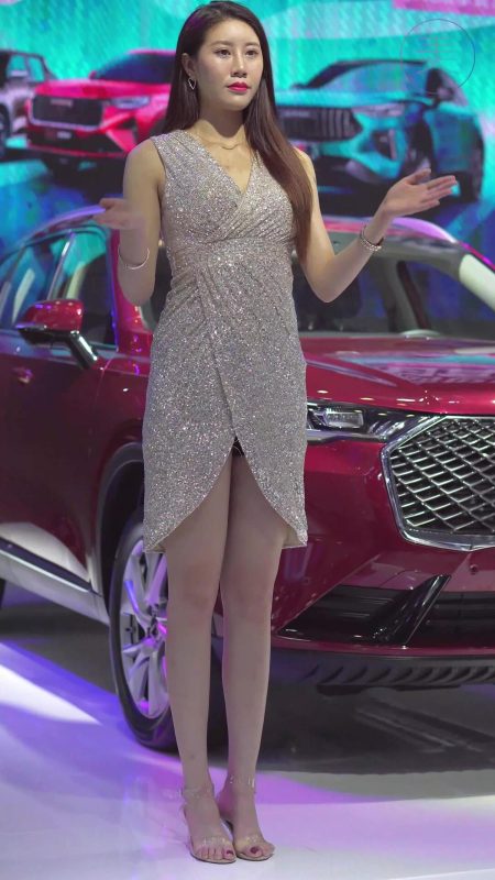 NO.0304 2021 深圳大湾区车展 Racing Model HAVAL车模01[1V/541MB]-无料摄影圈