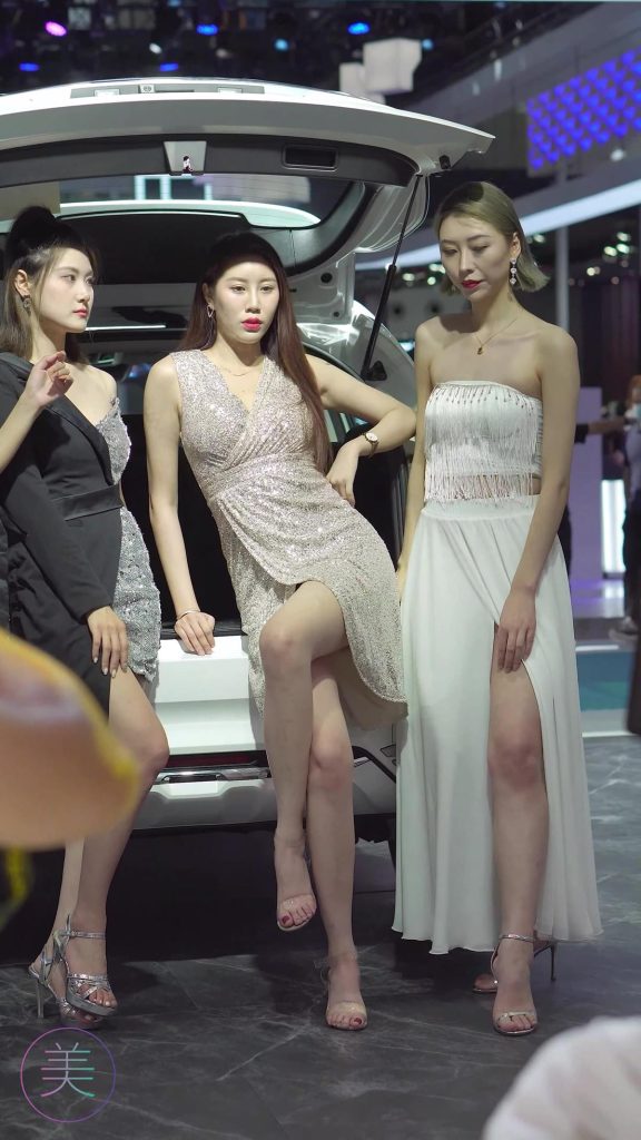 NO.0305 2021 深圳大湾区车展 Racing Model HAVAL车模02[1V/562MB]插图2