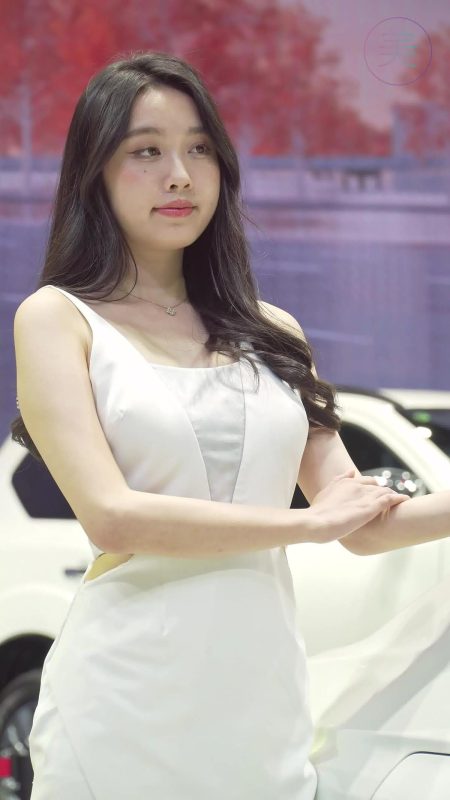 NO.0310 2021 深圳大湾区车展 Racing Model NISSAN车模07[1V/228MB]-无料摄影圈
