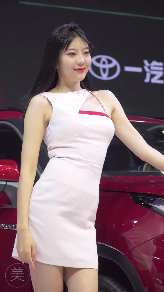 NO.0315 2021 深圳大湾区车展 Racing Model TOYOTA车模05[1V/681MB]插图3