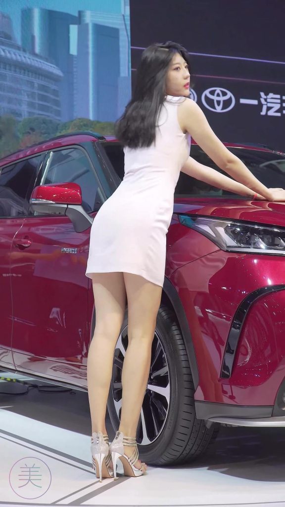 NO.0315 2021 深圳大湾区车展 Racing Model TOYOTA车模05[1V/681MB]插图1