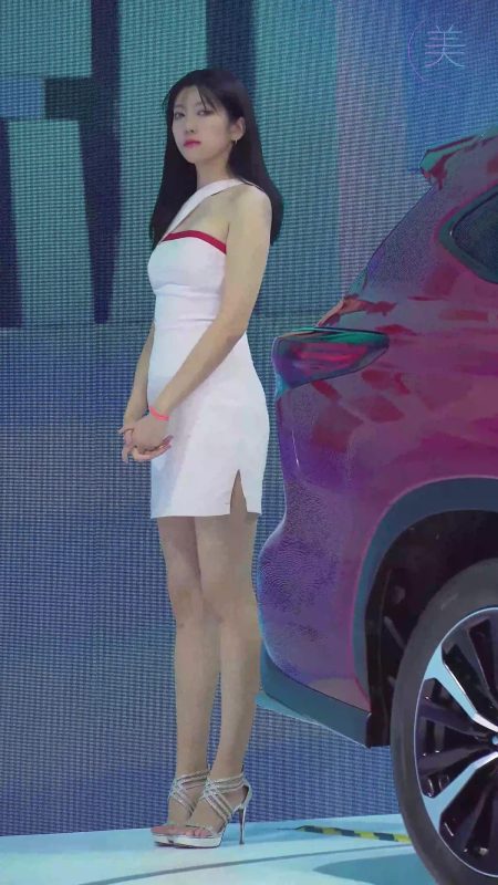 NO.0315 2021 深圳大湾区车展 Racing Model TOYOTA车模05[1V/681MB]-无料摄影圈