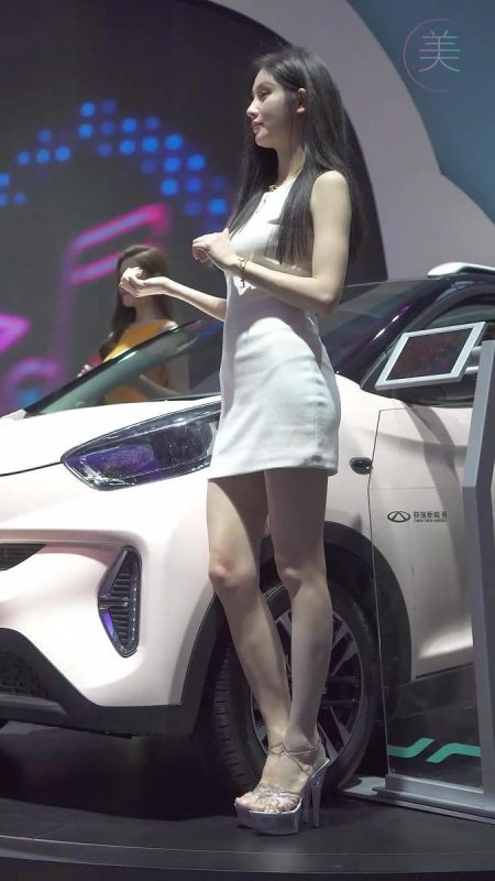 NO.0334 2021广州车展 Racing Model 奇瑞车模06[1V/316MB]-无料摄影圈