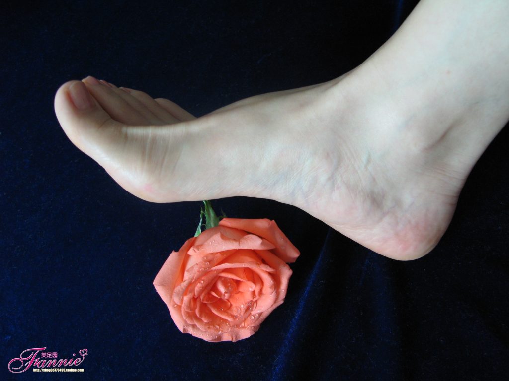 Fannie芬妮每足园 No.564 一个人的浪漫 落花寻梦[31P/80MB]插图2