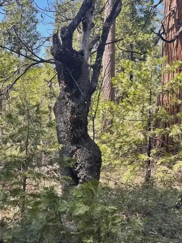 20次地球开挂的时刻:拍下来的那一刻,我开始重新审视世界!