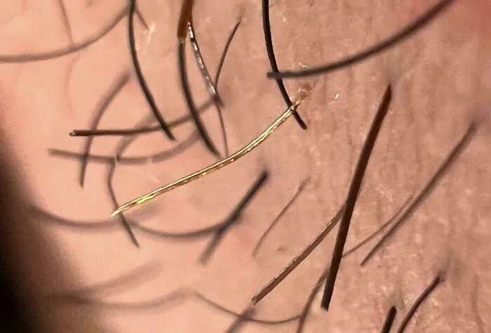 30 张“眼见不一定为实”的照片，挑战你对现实的认知-无料摄影圈