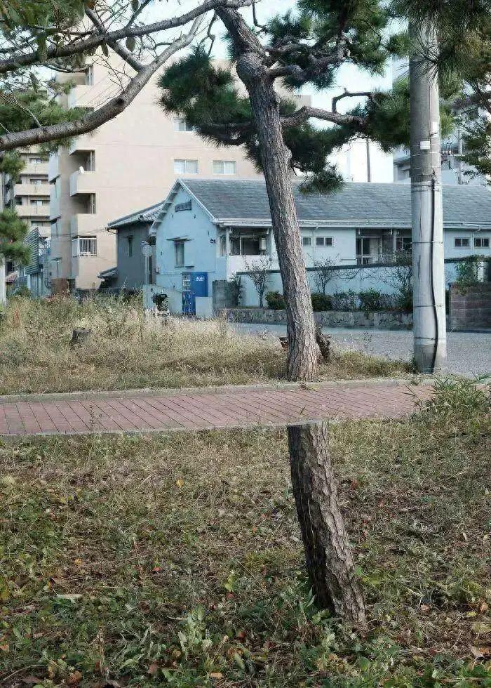 20张照片太离谱:第一眼看错的你,不是一个人