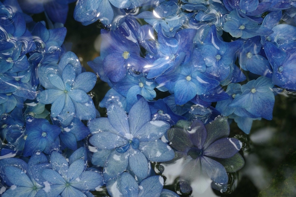 理光高端便携系列新品发布：RICOH GR IV 和小型闪光灯 RICOH GF-2插图15