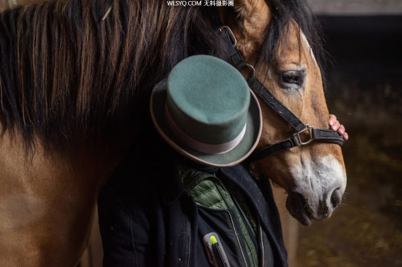 付费图片-这些是我们2025年最好的动物照片[26P]