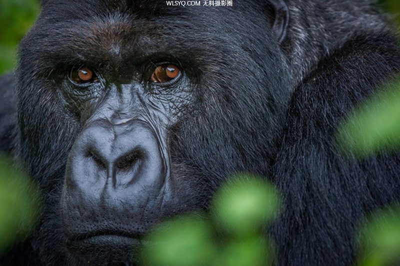 纳特 Nat Geo [6P]-无料摄影圈