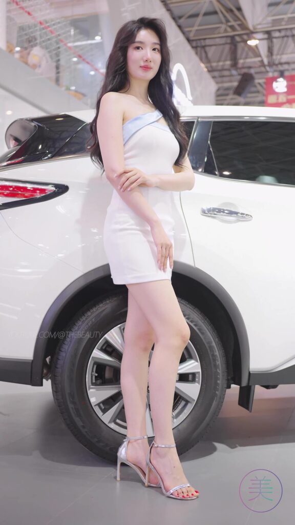 NO.0410 2023 东莞春季车展 Racing Model NISSAN车模05[1V/512MB]插图1