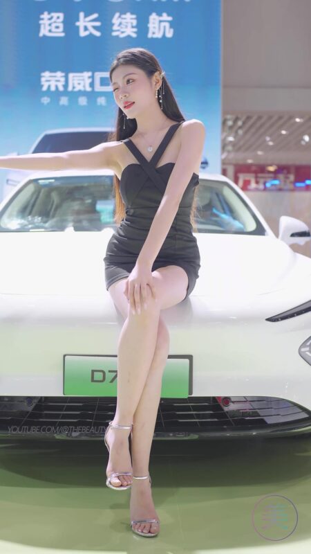 NO.0430 2023 东莞秋季车展 Racing Model ROEWE车模03[1V/259MB]-无料摄影圈