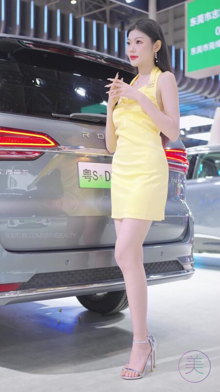 NO.0433 2023 东莞秋季车展 Racing Model ROEWE车模06[1V/235MB]-无料摄影圈