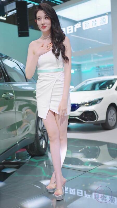 NO.0441 2023 东莞秋季车展 Racing Model 啓辰车模 01[1V/284MB]-无料摄影圈