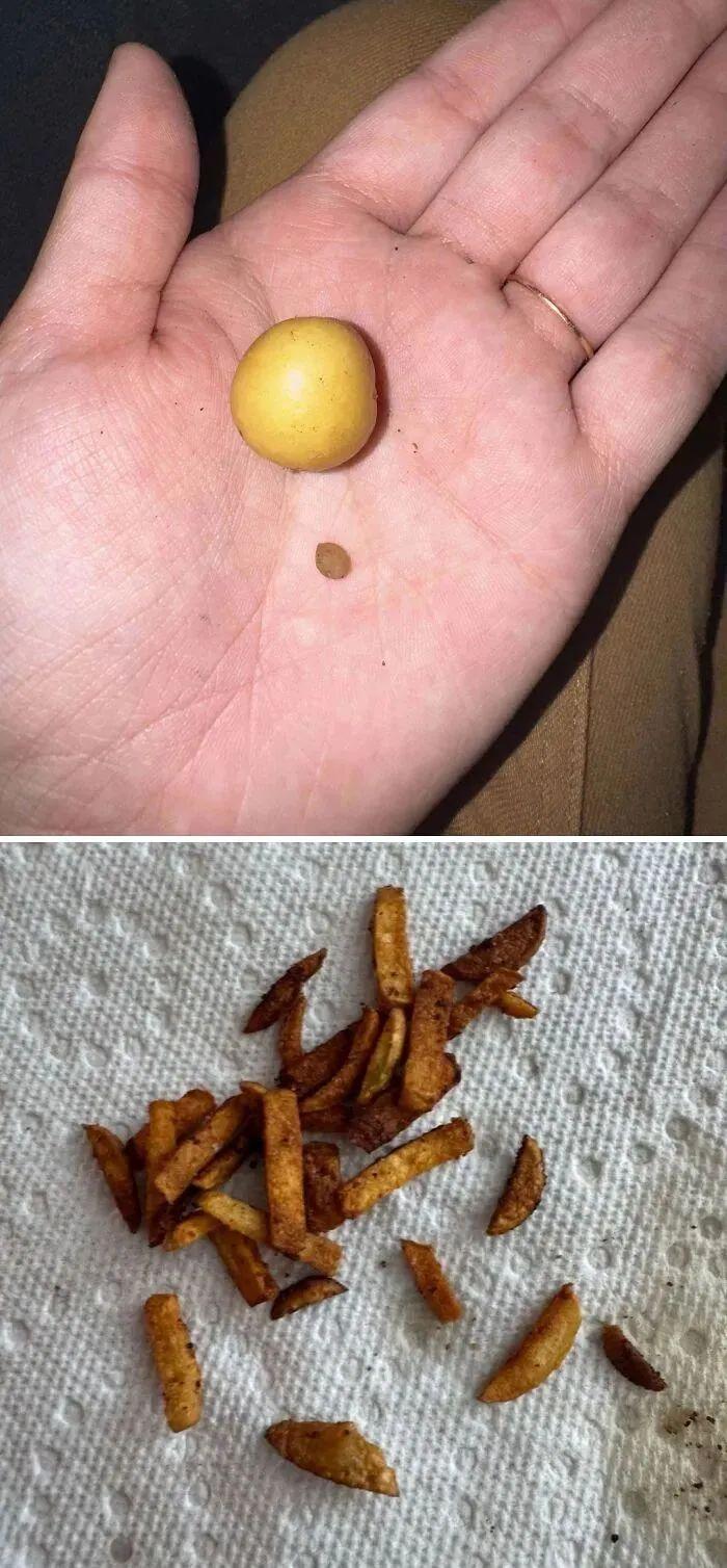 38张搞笑又扎心的收获照:有人种出“拳头番茄”,有人收获一颗蓝莓