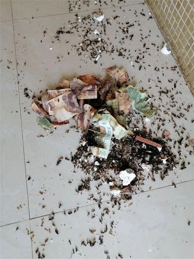 20个网友亲历“翻车瞬间”:谁的生活没点小状况?笑着笑着就想开了