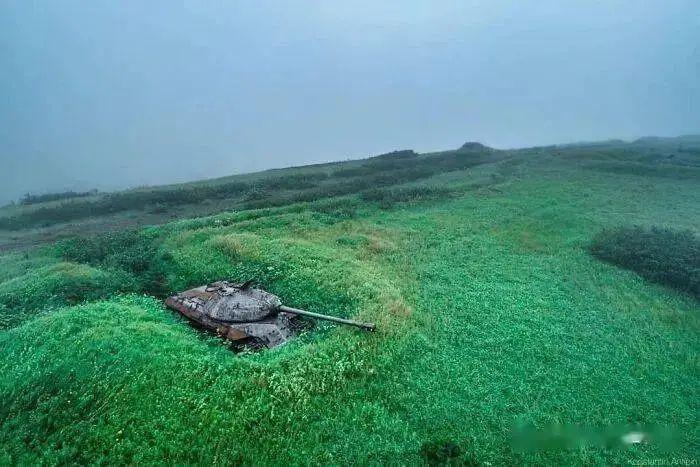 21个被自然“接管”的地方:人类消失后地球就是这样的!