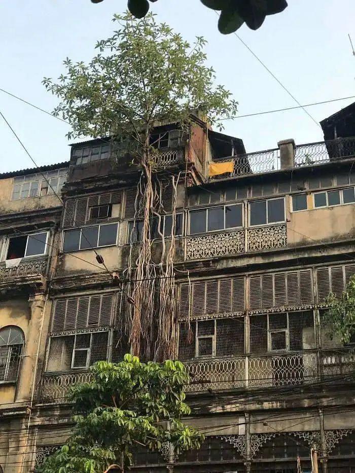 21个被自然“接管”的地方:人类消失后地球就是这样的!