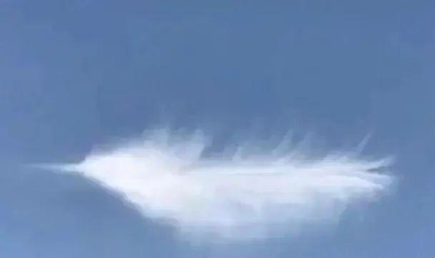 这些照片太会“骗人”:20个让你大脑短路的错觉瞬间