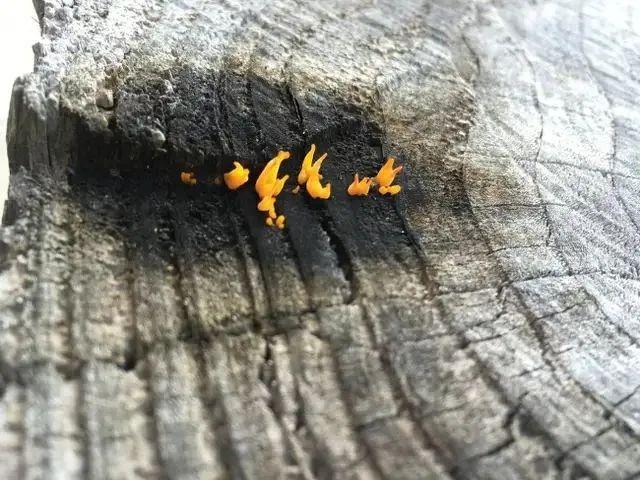 30 张“眼见不一定为实”的照片,挑战你对现实的认知插图22 30 张“眼见不一定为实”的照片,挑战你对现实的认知插图22