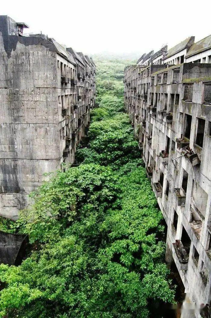 21个被自然“接管”的地方:人类消失后地球就是这样的!