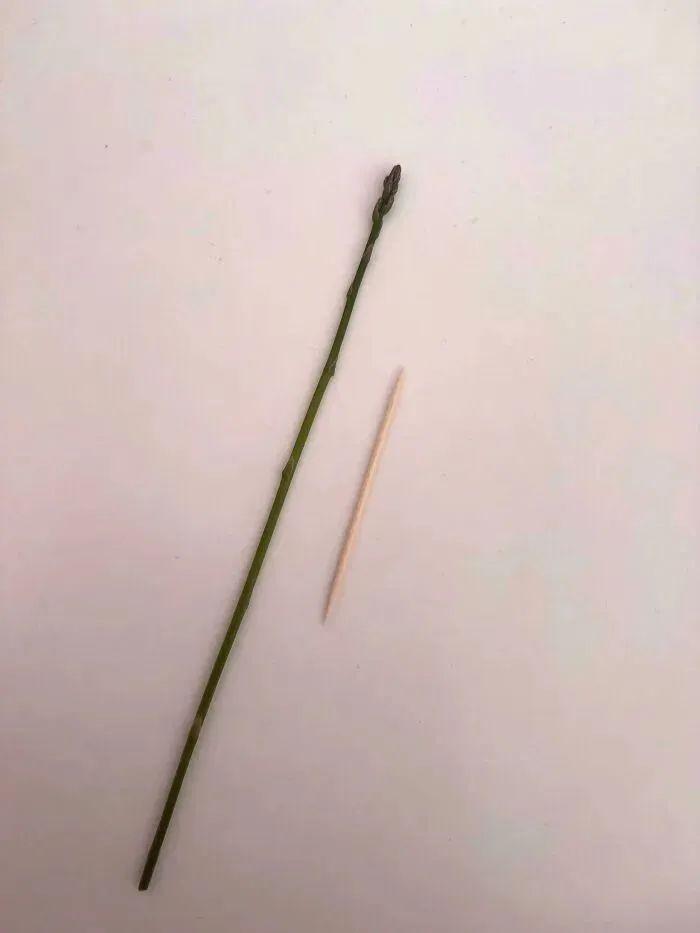 38张搞笑又扎心的收获照:有人种出“拳头番茄”,有人收获一颗蓝莓